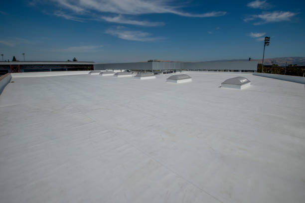 Best Roof Coating and Sealing  in Fairport, NY